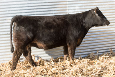 Lot 14
